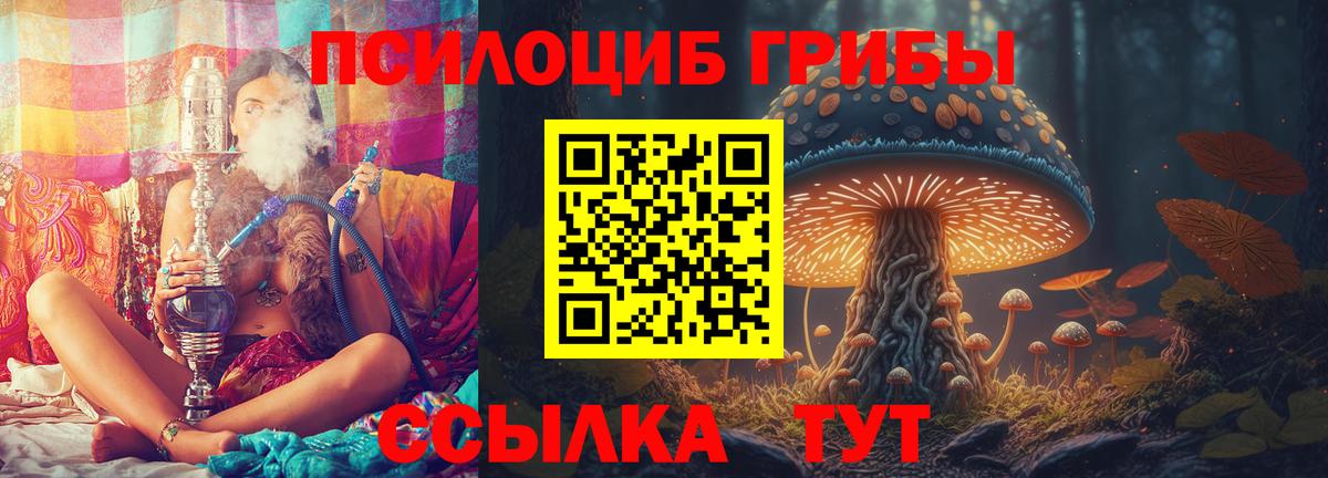 Псилоцибиновые грибы GOLDEN TEACHER  Галлюциногенные грибы MAGIC MUSHROOMS  Вход с VPN  Сыктывкар 