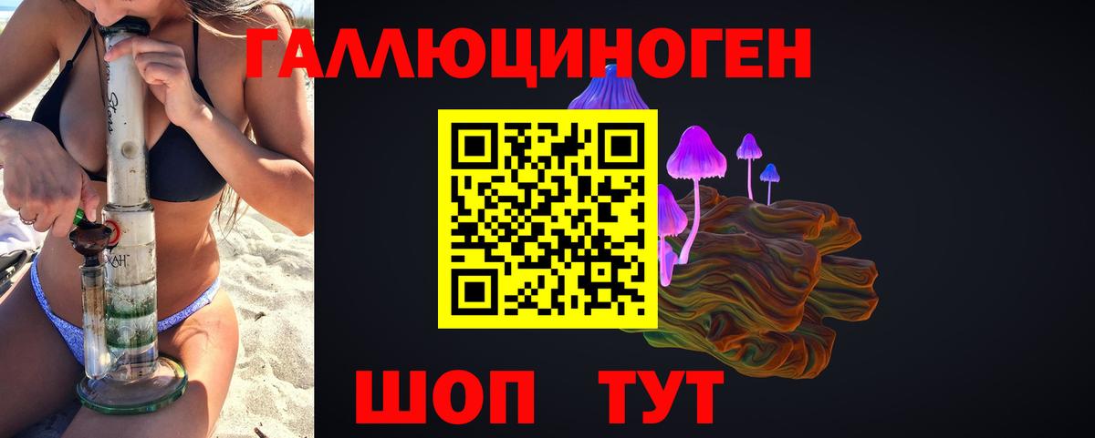 Галлюциногенные грибы прущие грибы Сыктывкар
